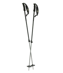 L.L.Bean For Sale | Rossignol BC 100 Backcountry Ski Poles