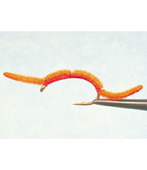 L.L.Bean For Sale | San Juan Worm, 2-Pack