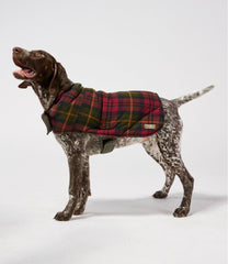 L.L.Bean US | Reversible Field Coat for Dogs