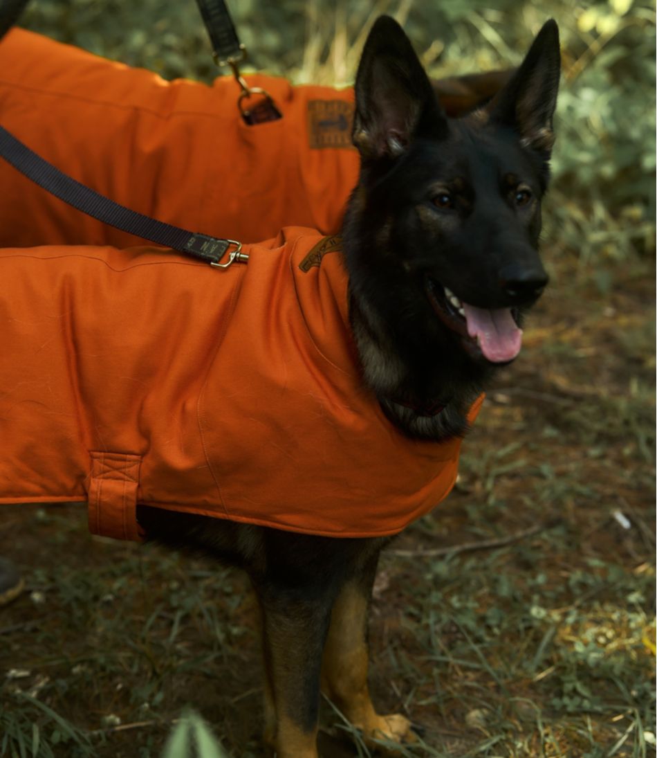 L.L.Bean For Sale | & Noah Kahan Reversible Field Coat for Dogs
