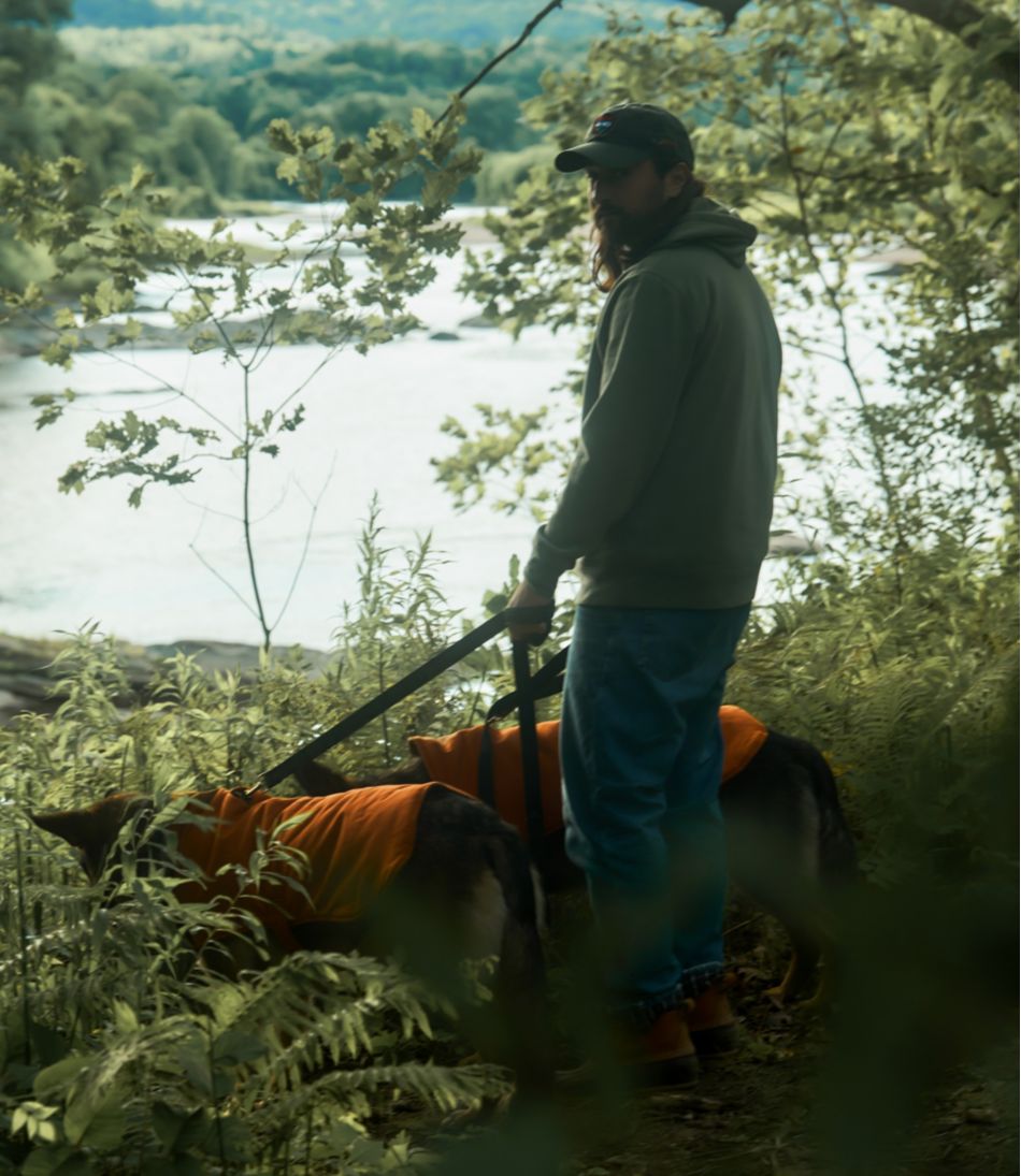 L.L.Bean For Sale | & Noah Kahan Reversible Field Coat for Dogs