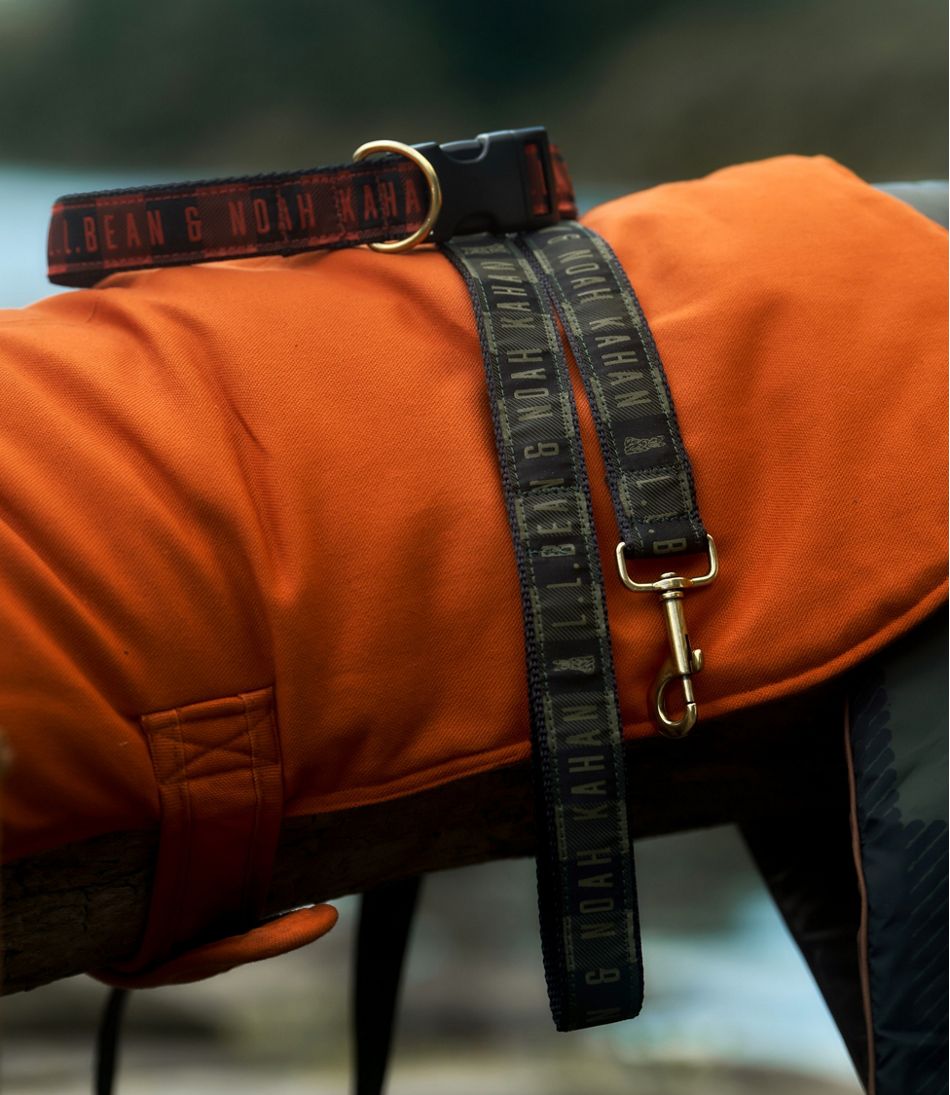 L.L.Bean For Sale | & Noah Kahan Novelty Dog Leash