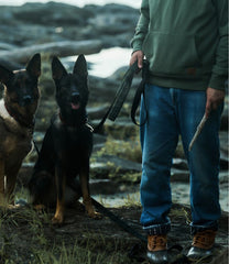 L.L.Bean For Sale | & Noah Kahan Novelty Dog Leash