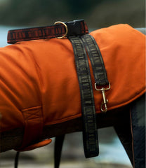 L.L.Bean | & Noah Kahan Novelty Dog Collar