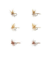 L.L.Bean | Umpqua Six-Piece Mayfly Dry Fly Selection