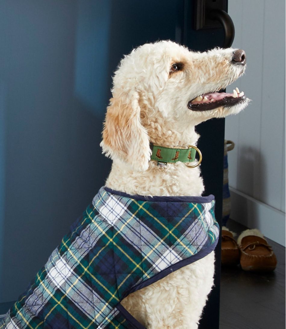 L.L.Bean Sale | Novelty Dog Collar