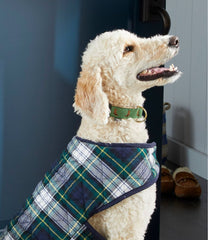 L.L.Bean Sale | Novelty Dog Collar