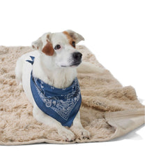 L.L.Bean On Sale | Plush Cuddler Dog Blanket