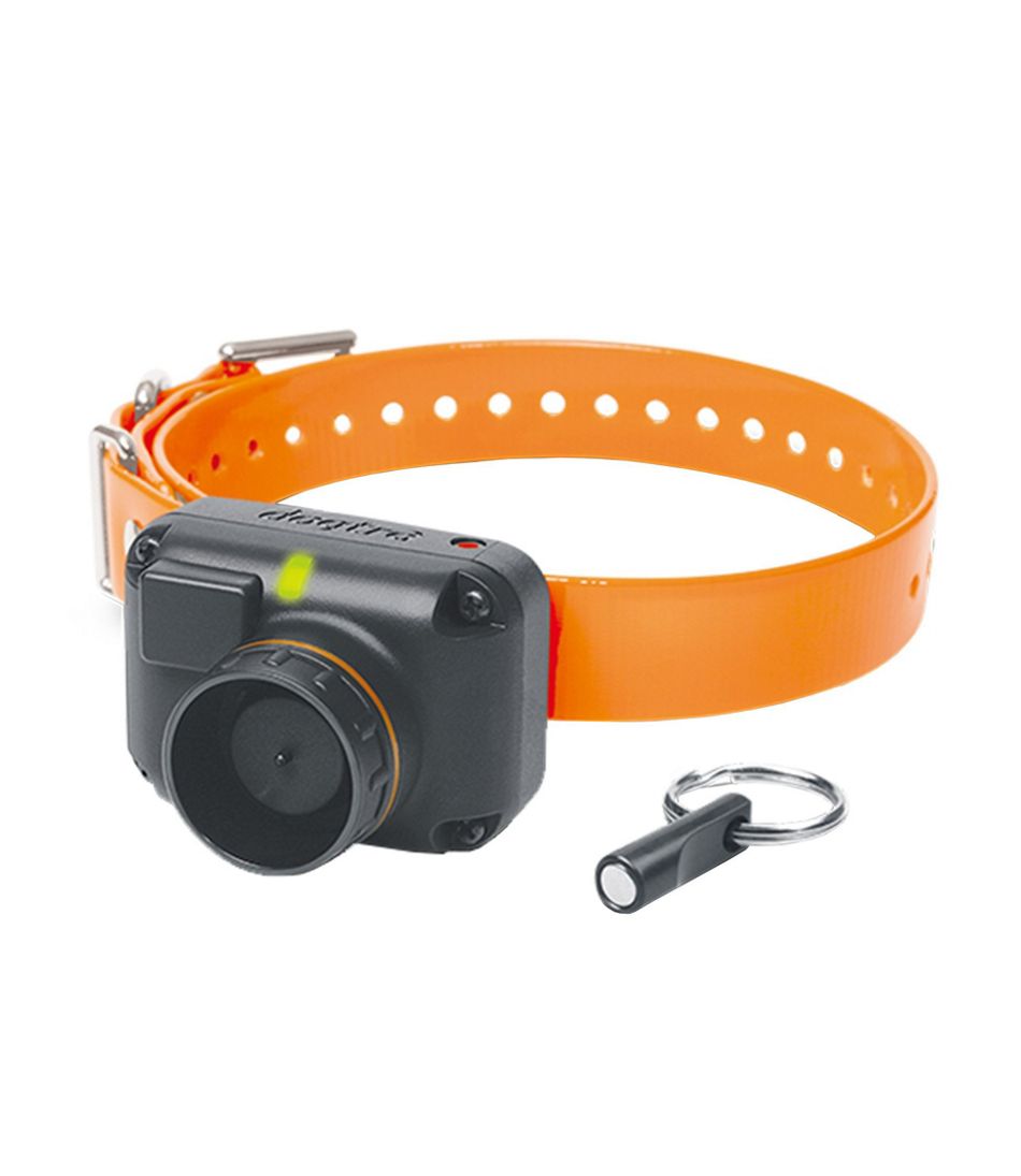 L.L.Bean US | Dogtra STB Beeper Collar